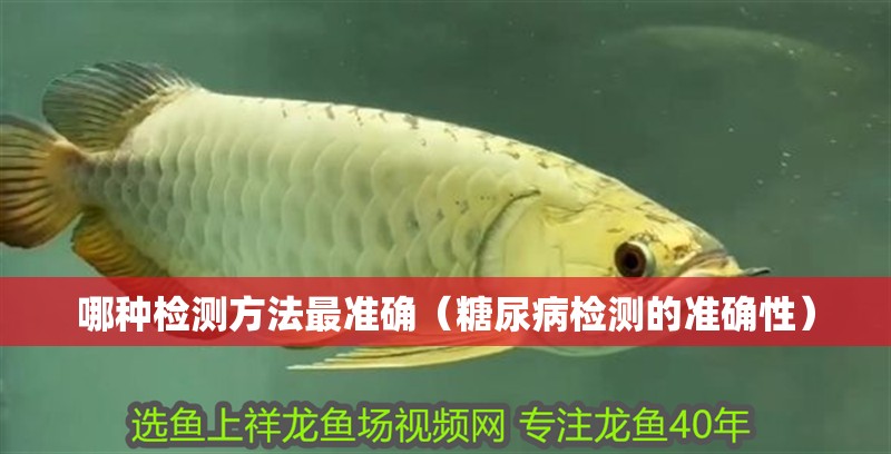 哪種檢測(cè)方法最準(zhǔn)確（糖尿病檢測(cè)的準(zhǔn)確性）