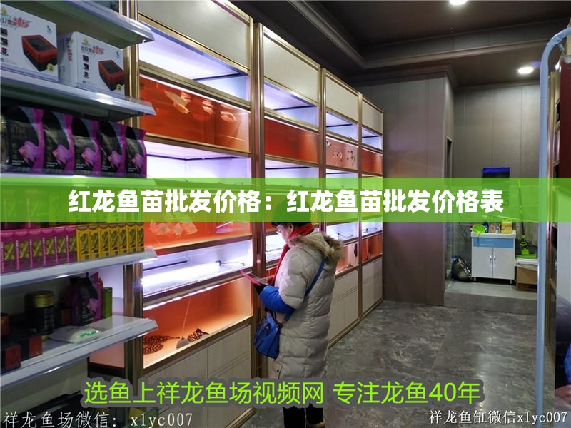 紅龍魚苗批發價格：紅龍魚苗批發價格表