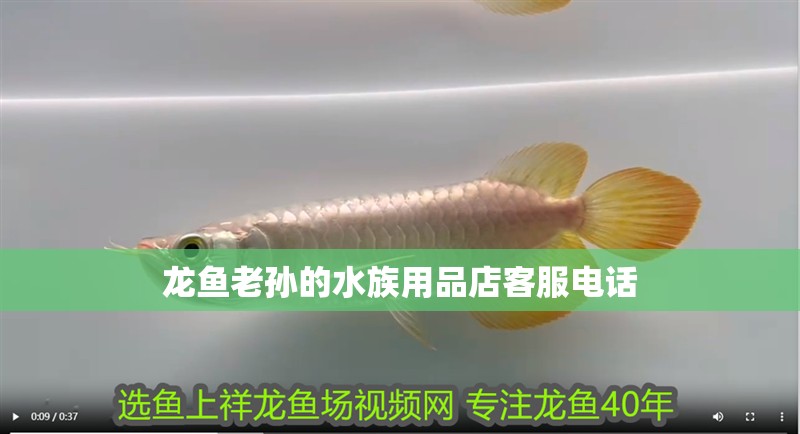 龍魚老孫的水族用品店客服電話