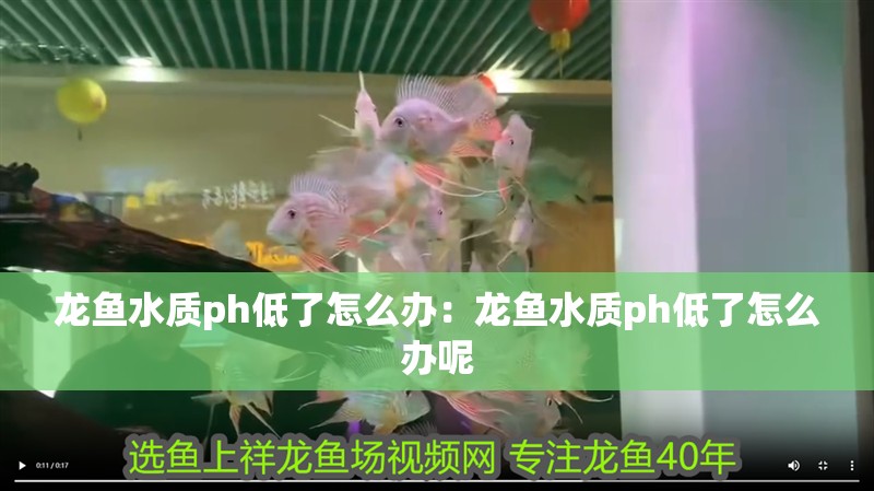 龍魚水質ph低了怎么辦：龍魚水質ph低了怎么辦呢