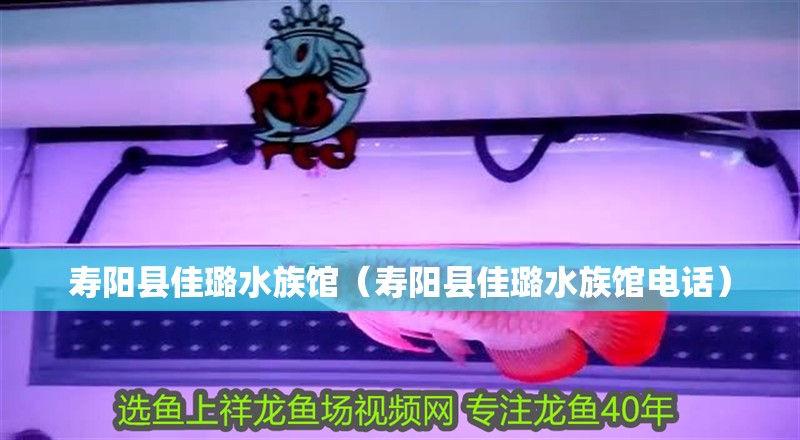 壽陽縣佳璐水族館（壽陽縣佳璐水族館電話）