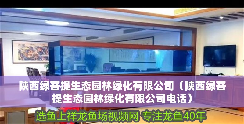 銀龍魚多久產卵：銀龍魚多久產卵一次