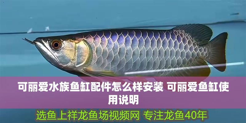 可麗愛水族魚缸配件怎么樣安裝 可麗愛魚缸使用說明 可麗愛水族魚缸配件怎么樣安裝 可麗愛魚缸使用說明 虎魚百科 第1張