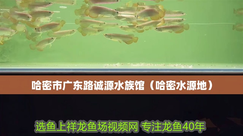 哈密市廣東路誠源水族館（哈密水源地）