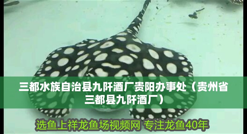 三都水族自治縣九阡酒廠貴陽辦事處（貴州省三都縣九阡酒廠）
