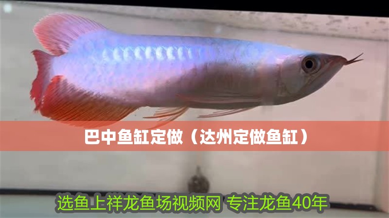 巴中魚缸定做（達州定做魚缸） 巴中魚缸定做（達州定做魚缸） 觀賞魚百科