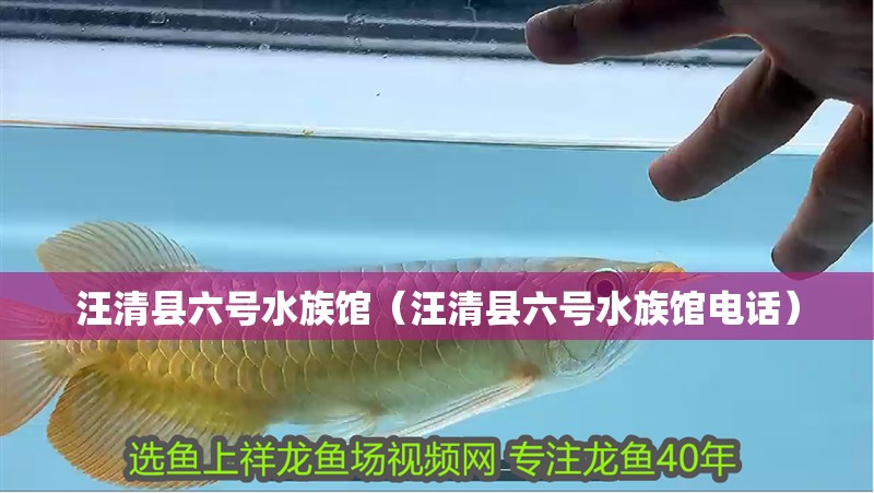 免換水魚缸的原理是什么？
