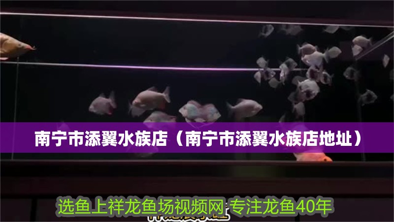 南寧市添翼水族店（南寧市添翼水族店地址） 南寧市添翼水族店（南寧市添翼水族店地址） 全國水族館企業名錄 第2張