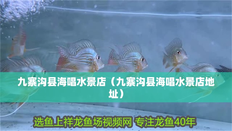 九寨溝縣海唱水景店（九寨溝縣海唱水景店地址） 九寨溝縣海唱水景店（九寨溝縣海唱水景店地址） 全國(guó)水族館企業(yè)名錄 第2張