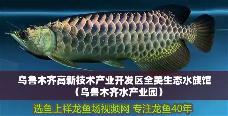 烏魯木齊高新技術產業開發區全美生態水族館（烏魯木齊水產業園）