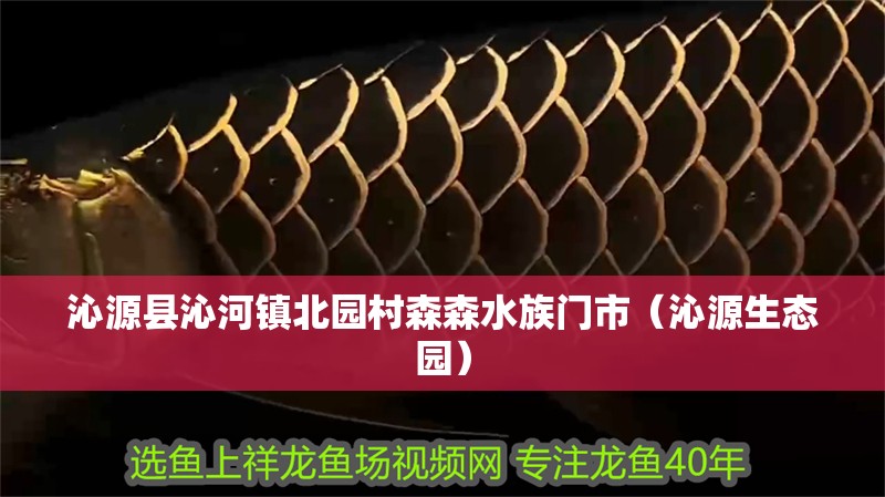 沁源縣沁河鎮(zhèn)北園村森森水族門市（沁源生態(tài)園）