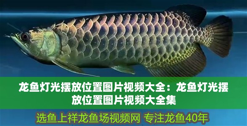 龍魚燈光擺放位置圖片視頻大全：龍魚燈光擺放位置圖片視頻大全集