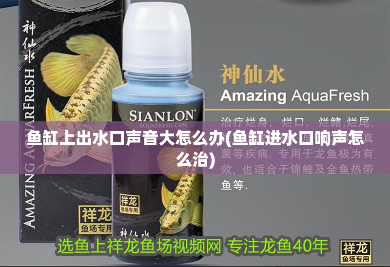 詳細(xì)閱讀:魚缸上出水口聲音大怎么辦(魚缸進(jìn)水口響聲怎么治) 魚缸上出水口聲音大怎么辦(魚缸進(jìn)水口響聲怎么治)