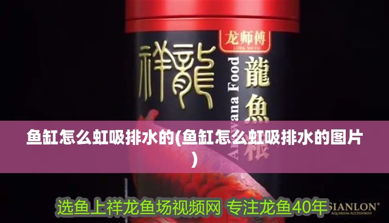 魚缸怎么虹吸排水的(魚缸怎么虹吸排水的圖片)