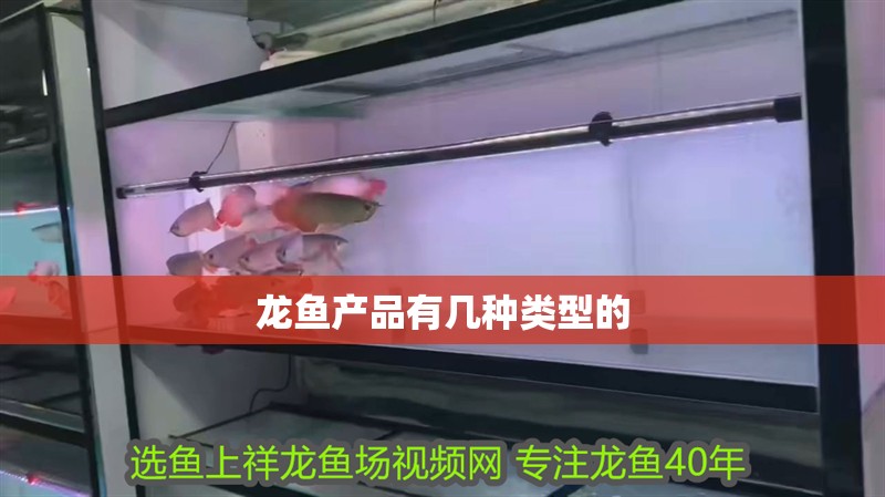 龍魚產品有幾種類型的