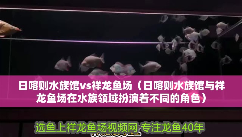 日喀則水族館vs祥龍魚場（日喀則水族館與祥龍魚場在水族領域扮演著不同的角色）