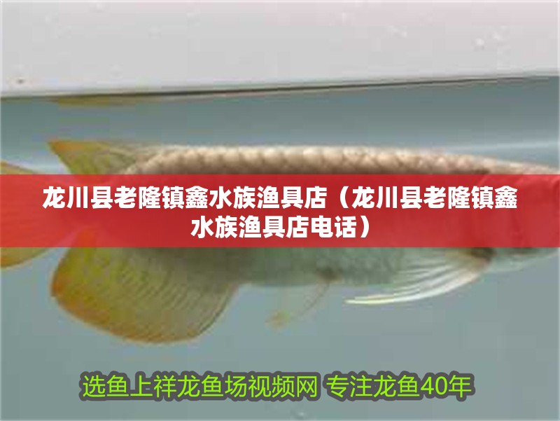 龍川縣老隆鎮鑫水族漁具店（龍川縣老隆鎮鑫水族漁具店電話）
