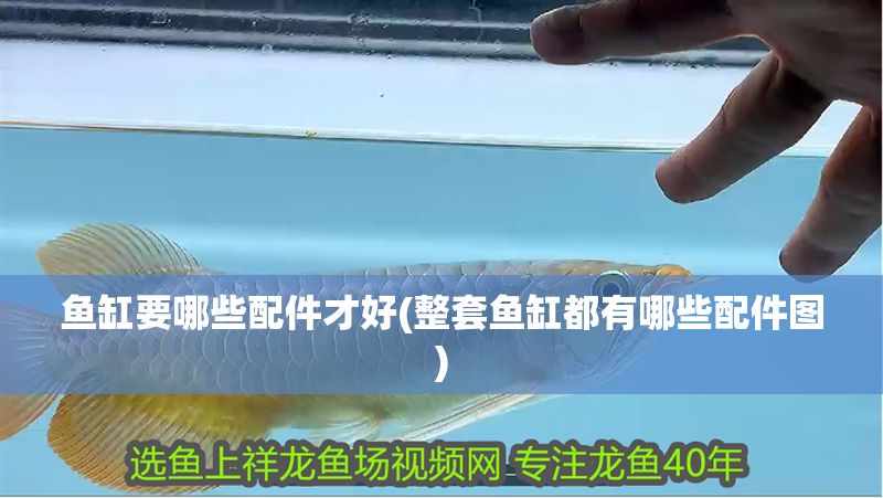 魚缸要哪些配件才好(整套魚缸都有哪些配件圖)