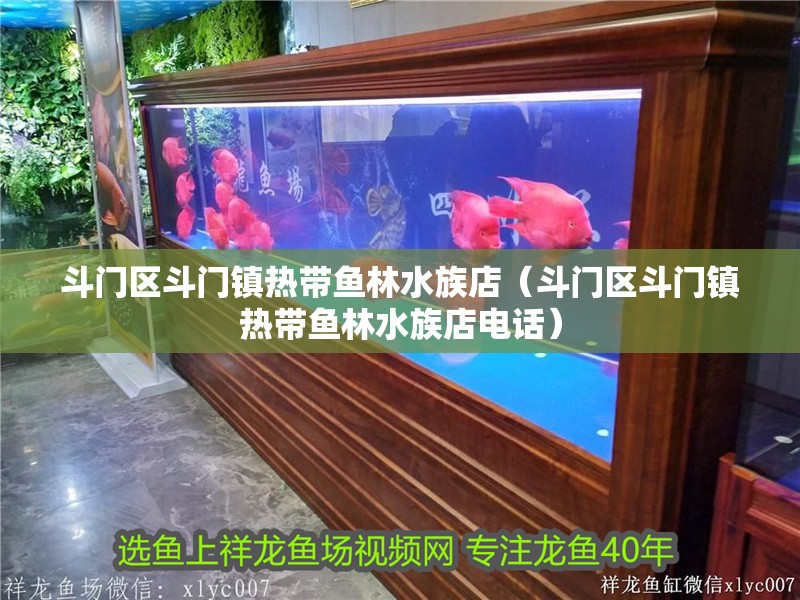 斗門區斗門鎮熱帶魚林水族店（斗門區斗門鎮熱帶魚林水族店電話）
