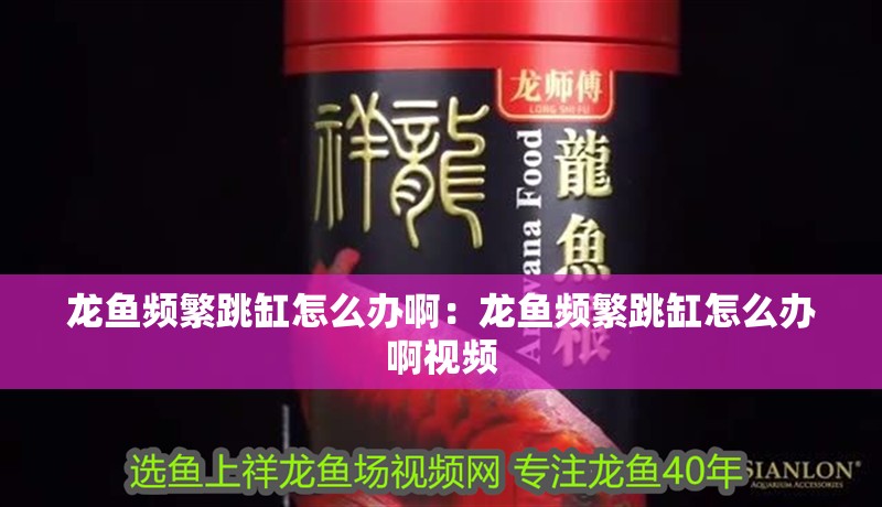 龍魚頻繁跳缸怎么辦啊：龍魚頻繁跳缸怎么辦啊視頻