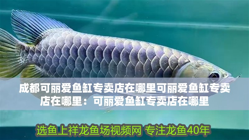 成都可麗愛魚缸專賣店在哪里可麗愛魚缸專賣店在哪里：可麗愛魚缸專賣店在哪里