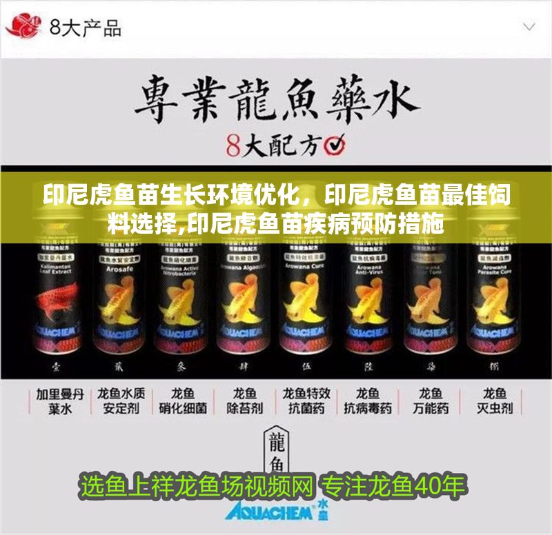 印尼虎魚苗生長環(huán)境優(yōu)化，印尼虎魚苗最佳飼料選擇,印尼虎魚苗疾病預防措施