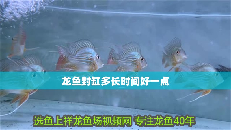 攀枝花市東區海源水族園藝（攀枝花市東區海源水族園藝場地址）
