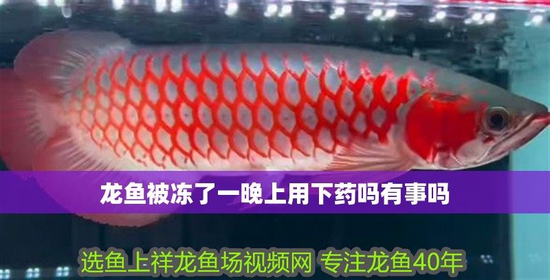 長治市城區(qū)佳佳水族館（長治市城區(qū)佳佳水族館電話）