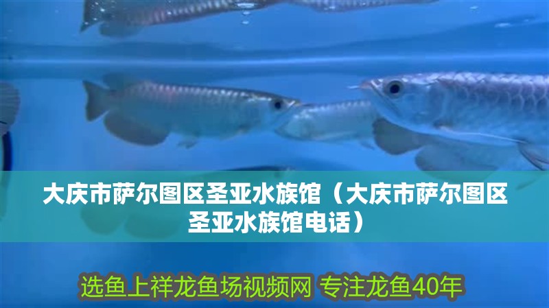 大慶市薩爾圖區圣亞水族館（大慶市薩爾圖區圣亞水族館電話）
