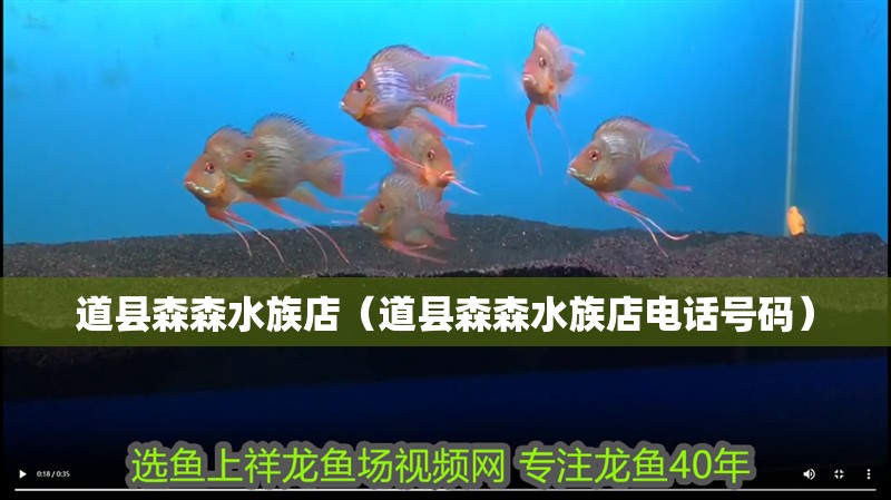 道縣森森水族店(道縣森森水族店電話號碼) 全國水族館企業名錄 第2張 道縣森森水族店(道縣森森水族店電話號碼) 道縣森森水族店(道縣森森水族店電話號碼) 全國水族館企業名錄 第2張