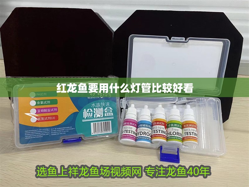 紅龍魚要用什么燈管比較好看