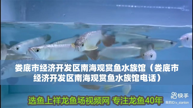 婁底市經濟開發區南海觀賞魚水族館（婁底市經濟開發區南海觀賞魚水族館電話）