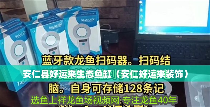 安仁縣好運來生態(tài)魚缸（安仁好運來裝飾）