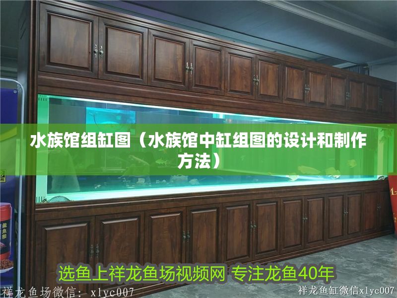 水族館組缸圖（水族館中缸組圖的設(shè)計(jì)和制作方法）