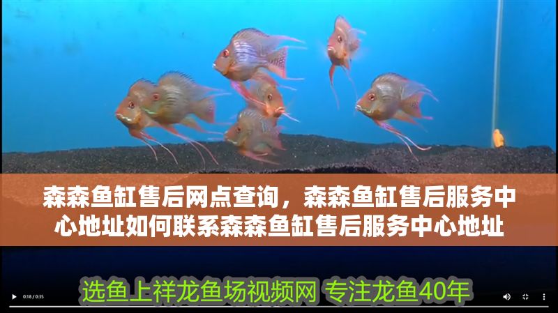 森森魚缸售后網點查詢，森森魚缸售后服務中心地址如何聯系森森魚缸售后服務中心地址 森森魚缸售后網點查詢，森森魚缸售后服務中心地址如何聯系森森魚缸售后服務中心地址 魚缸百科 第2張