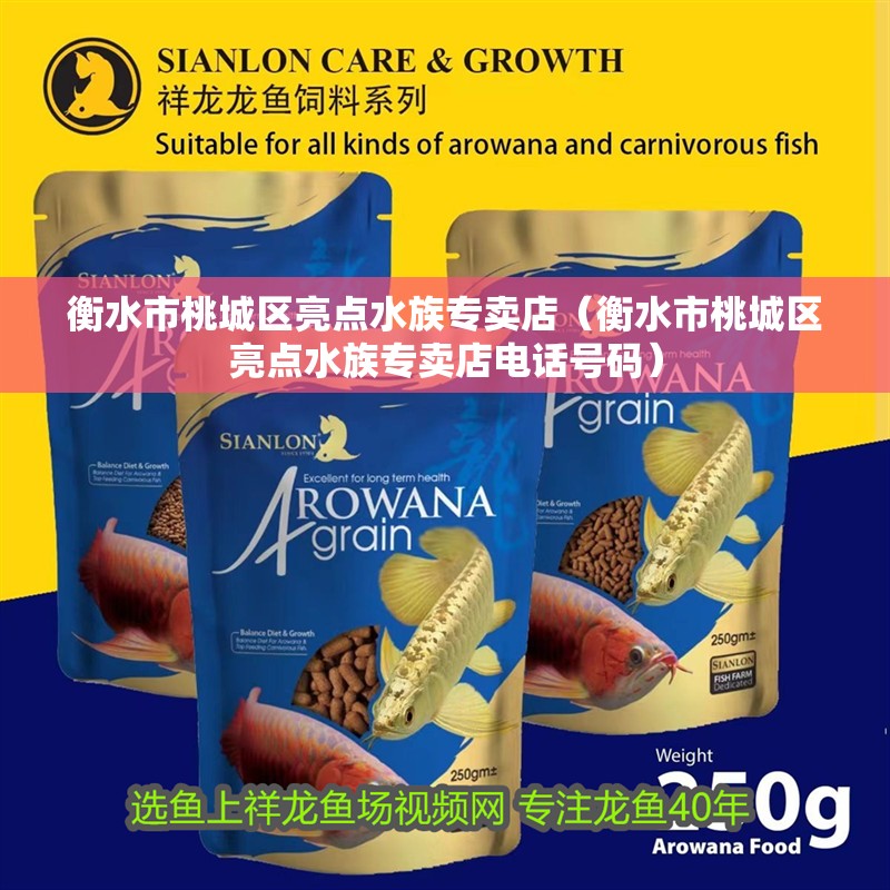衡水市桃城區(qū)亮點(diǎn)水族專賣店（衡水市桃城區(qū)亮點(diǎn)水族專賣店電話號碼）