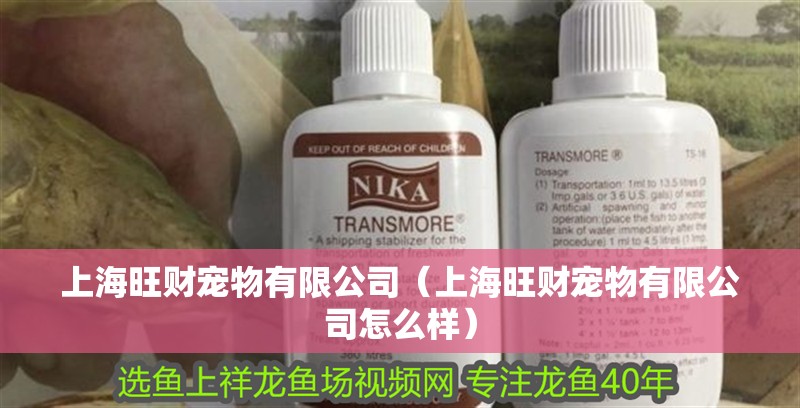 上海旺財寵物有限公司（上海旺財寵物有限公司怎么樣） 上海旺財寵物有限公司（上海旺財寵物有限公司怎么樣） 全國水族館企業名錄 第2張