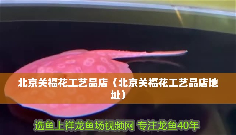 北京關(guān)福花工藝品店（北京關(guān)福花工藝品店地址）