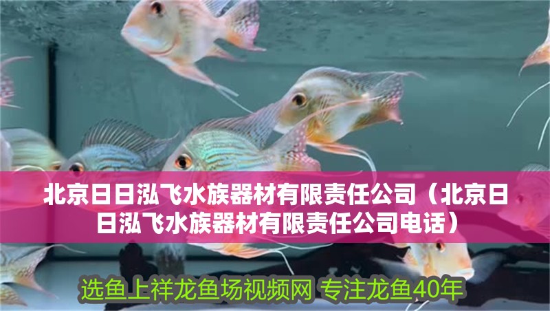 北京日日泓飛水族器材有限責(zé)任公司（北京日日泓飛水族器材有限責(zé)任公司電話） 北京日日泓飛水族器材有限責(zé)任公司（北京日日泓飛水族器材有限責(zé)任公司電話） 全國水族館企業(yè)名錄 第2張