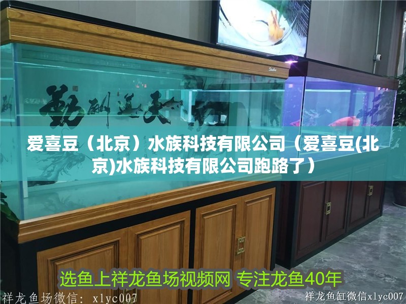 愛喜豆（北京）水族科技有限公司（愛喜豆(北京)水族科技有限公司跑路了）