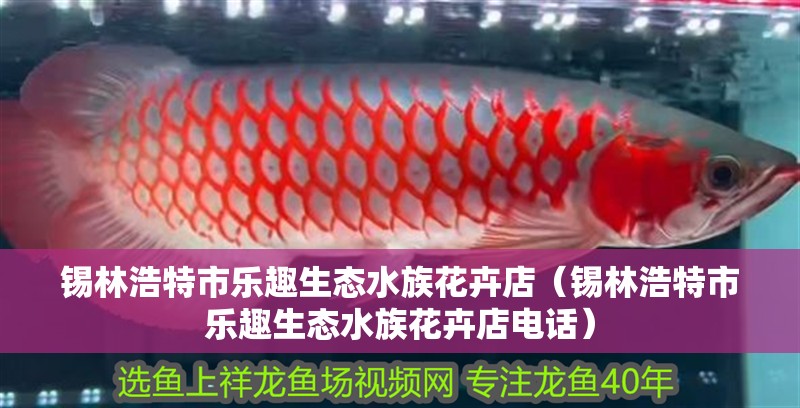 錫林浩特市樂趣生態水族花卉店（錫林浩特市樂趣生態水族花卉店電話） 錫林浩特市樂趣生態水族花卉店（錫林浩特市樂趣生態水族花卉店電話） 全國水族館企業名錄 第2張