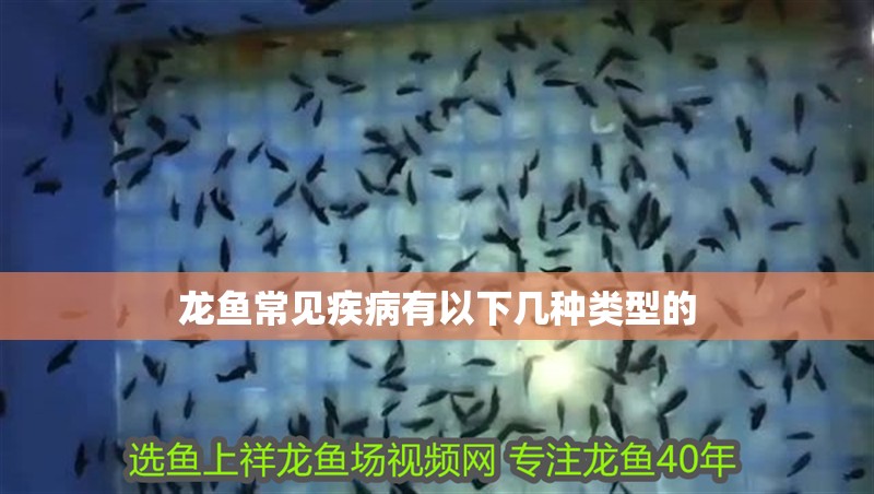 龍魚常見疾病有以下幾種類型的 龍魚常見疾病有以下幾種類型的 龍魚百科 第2張