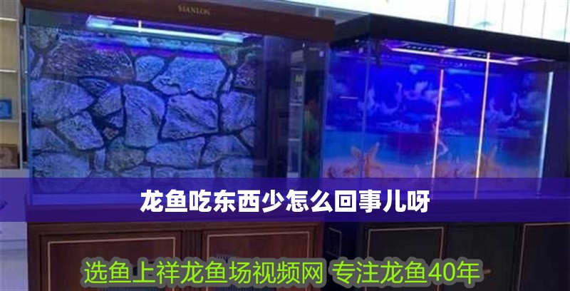 龍魚吃東西少怎么回事兒呀 龍魚吃東西少怎么回事兒呀 龍魚百科 第2張