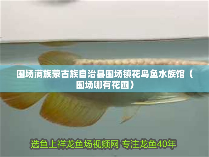 圍場滿族蒙古族自治縣圍場鎮花鳥魚水族館（圍場哪有花圃） 圍場滿族蒙古族自治縣圍場鎮花鳥魚水族館（圍場哪有花圃） 全國水族館企業名錄 第2張