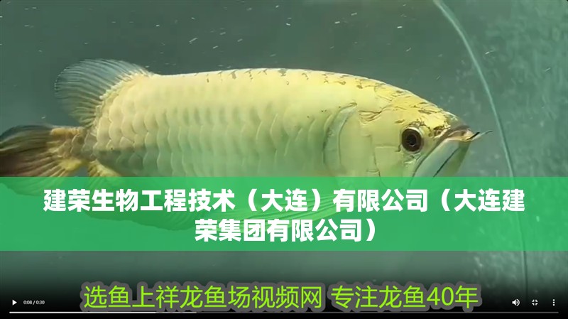 建榮生物工程技術（大連）有限公司（大連建榮集團有限公司）