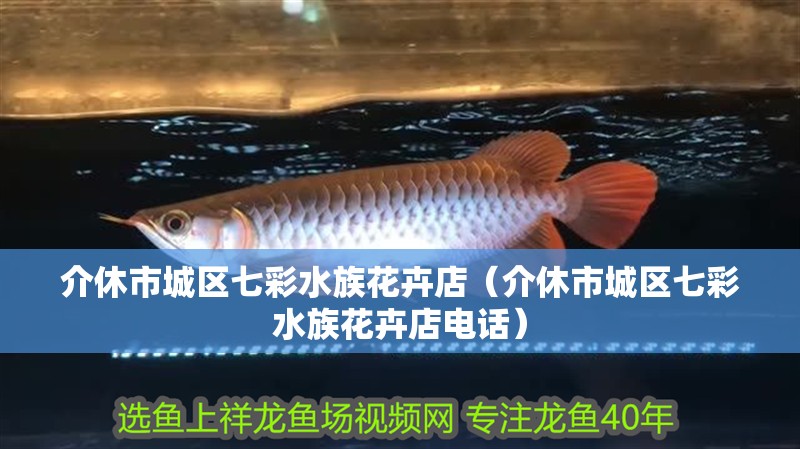 介休市城區(qū)七彩水族花卉店（介休市城區(qū)七彩水族花卉店電話）