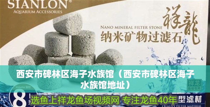 西安市碑林區海子水族館（西安市碑林區海子水族館地址）