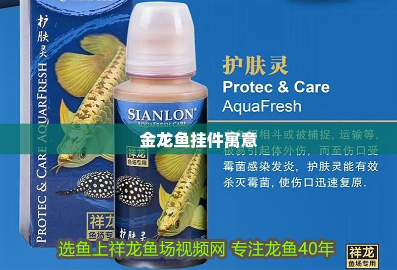 金龍魚掛件寓意 金龍魚掛件寓意 龍魚百科 第2張