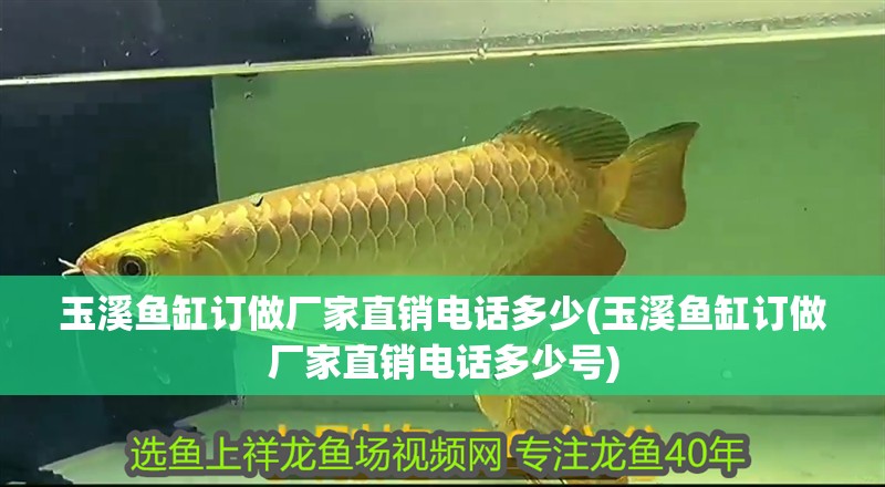 玉溪魚缸訂做廠家直銷電話多少(玉溪魚缸訂做廠家直銷電話多少號)