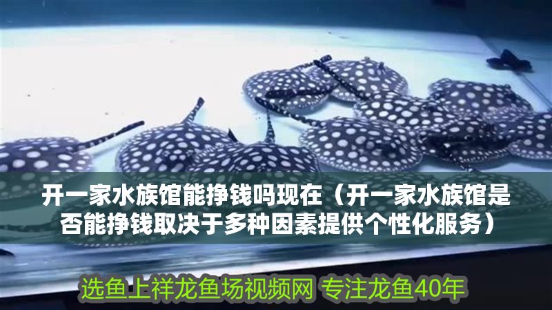開一家水族館能掙錢嗎現在（開一家水族館是否能掙錢取決于多種因素提供個性化服務） 開一家水族館能掙錢嗎現在（開一家水族館是否能掙錢取決于多種因素提供個性化服務） 水族館百科（水族館加盟） 第1張